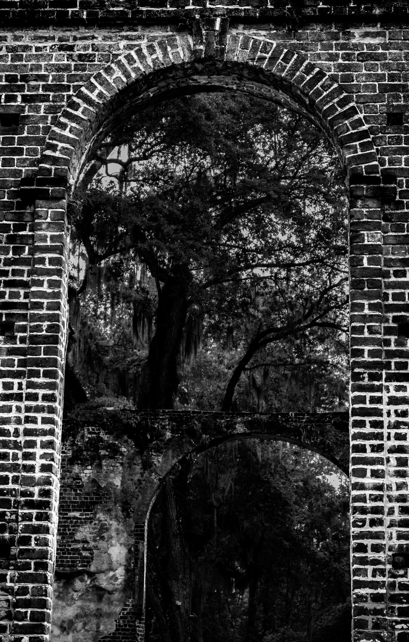 An old brick arch framing trees growing through a Lowcountry ruin