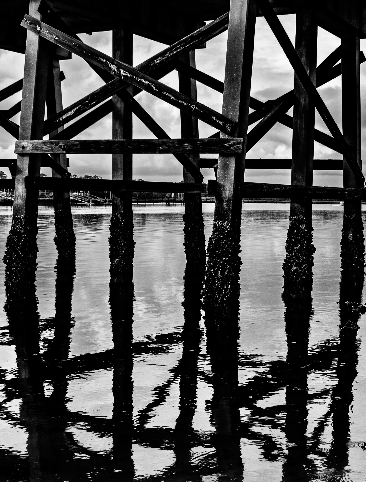 Geometric timber supports and their reflections beneath a dock